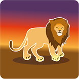 lion