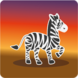 zebra